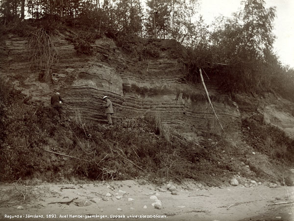 Växtförande älvsandsavlagringar vid Ragunda 1893