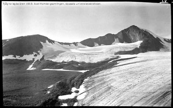 Tjågnorisglaciären