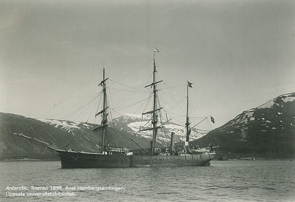 Antarctic i Tromsö hamn