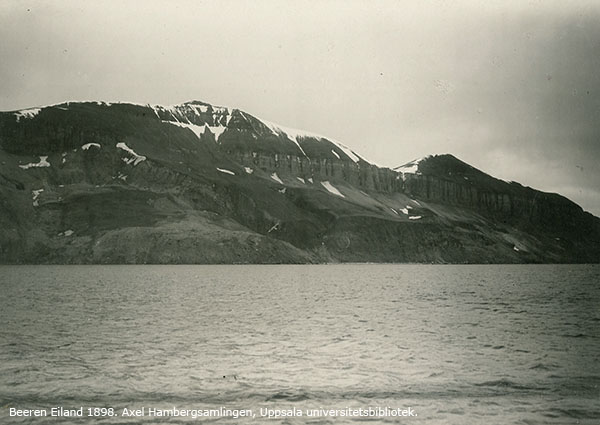 Mount Misery på Beeren Eiland