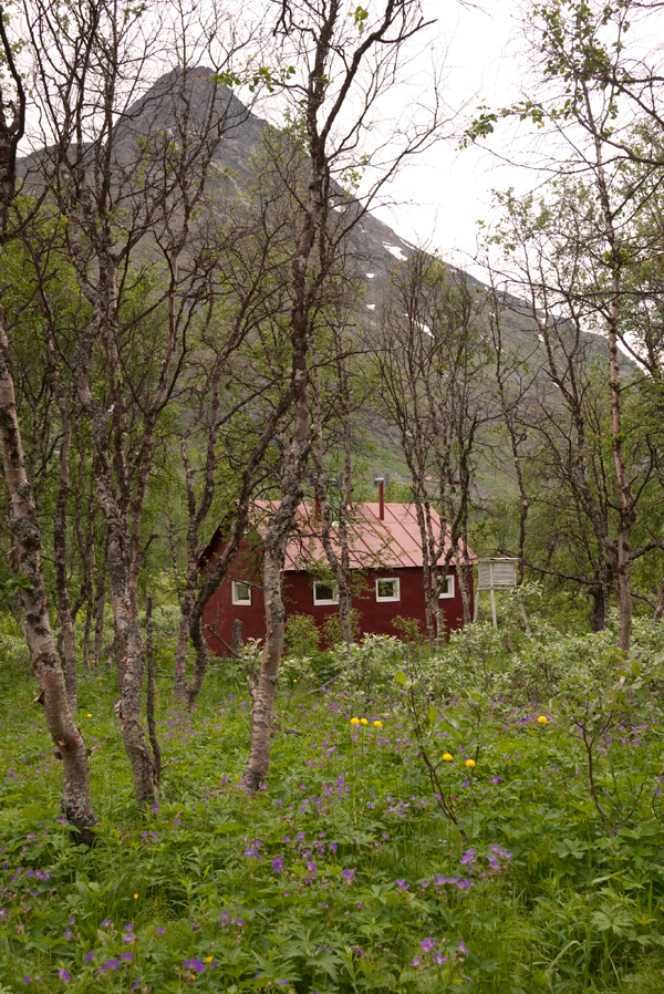 Skårkashyddan år 2011